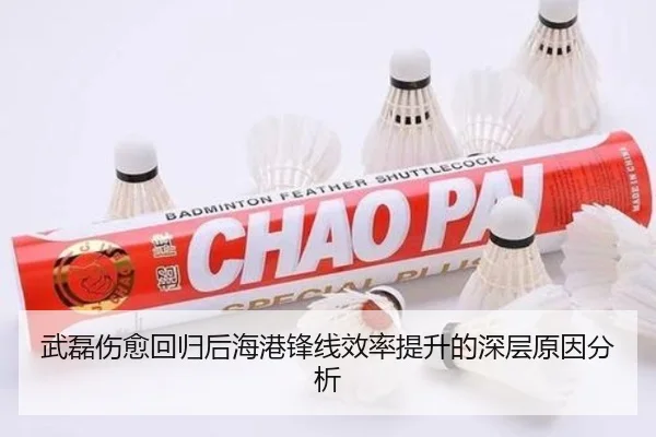 武磊伤愈回归后海港锋线效率提升的深层原因分析